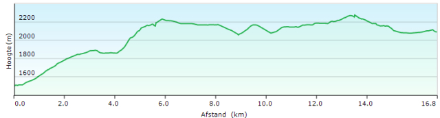 Profiel 46 San Lorenzo - Don Barbera